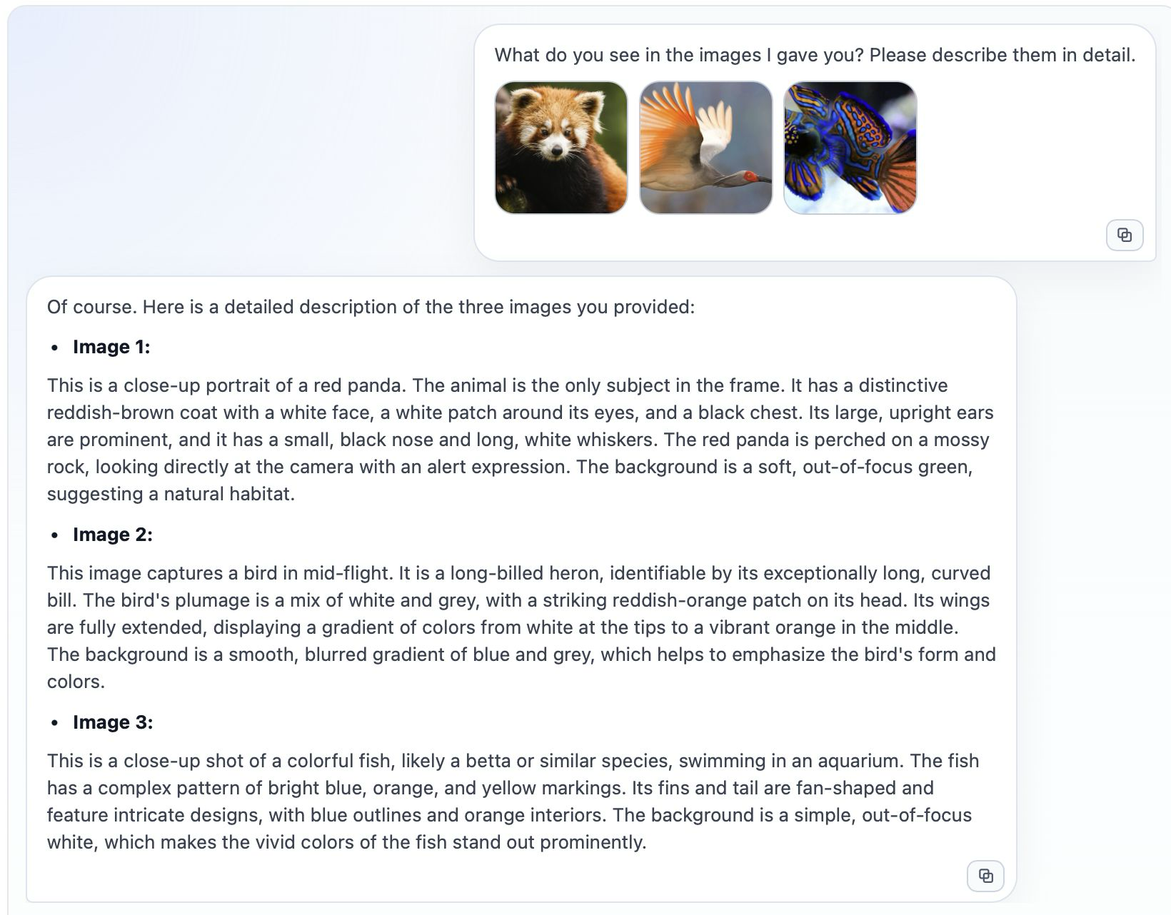 Multi-modal Chat Result