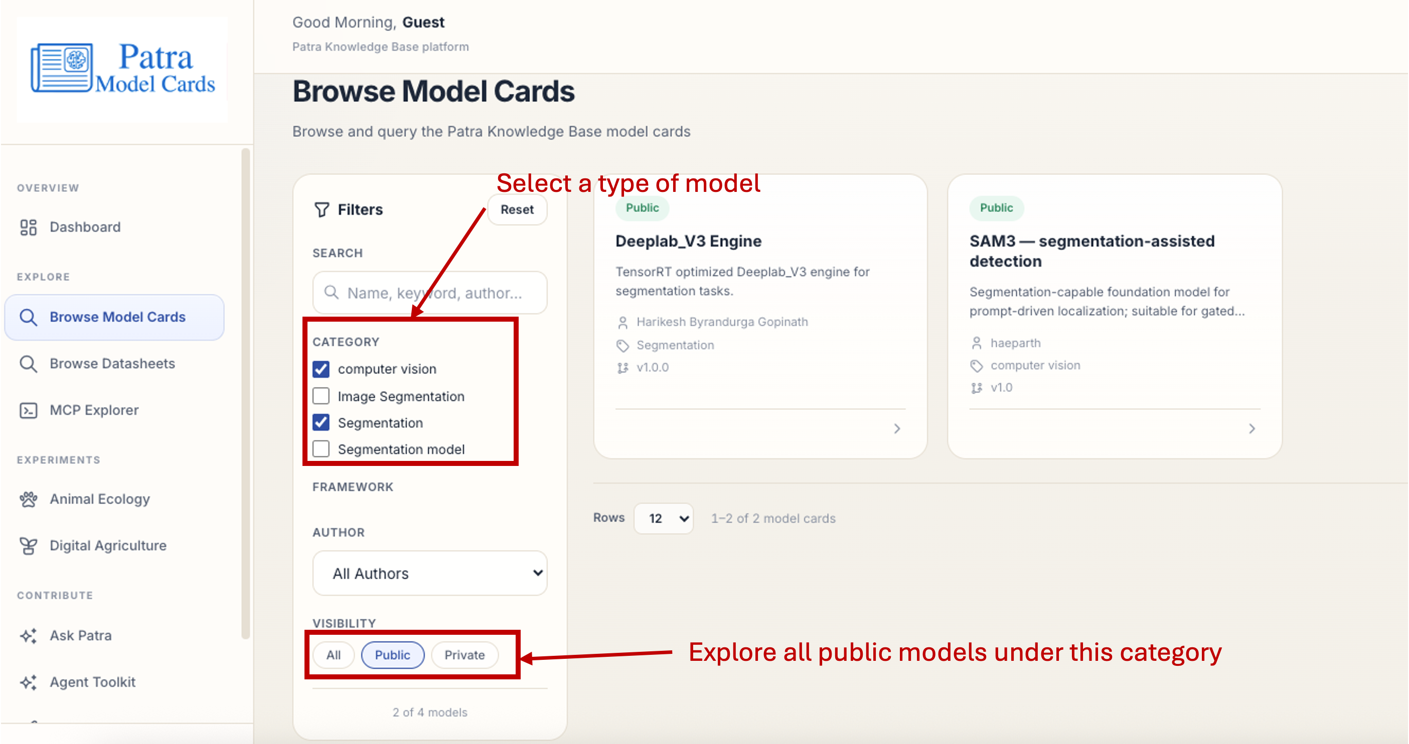 Filtering model cards by category and visibility