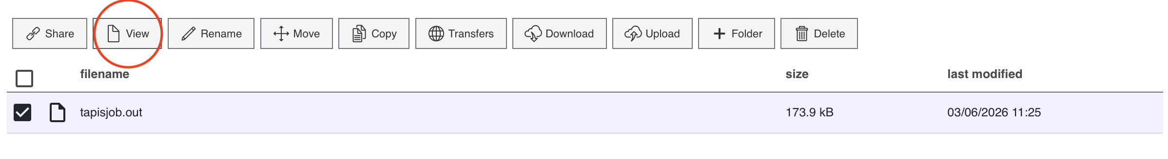 Step 5a: Job output file