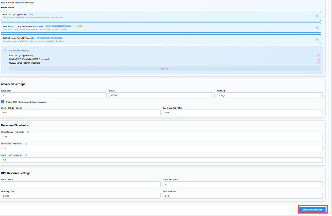 Configure Detection Job, embedder and advanced settings