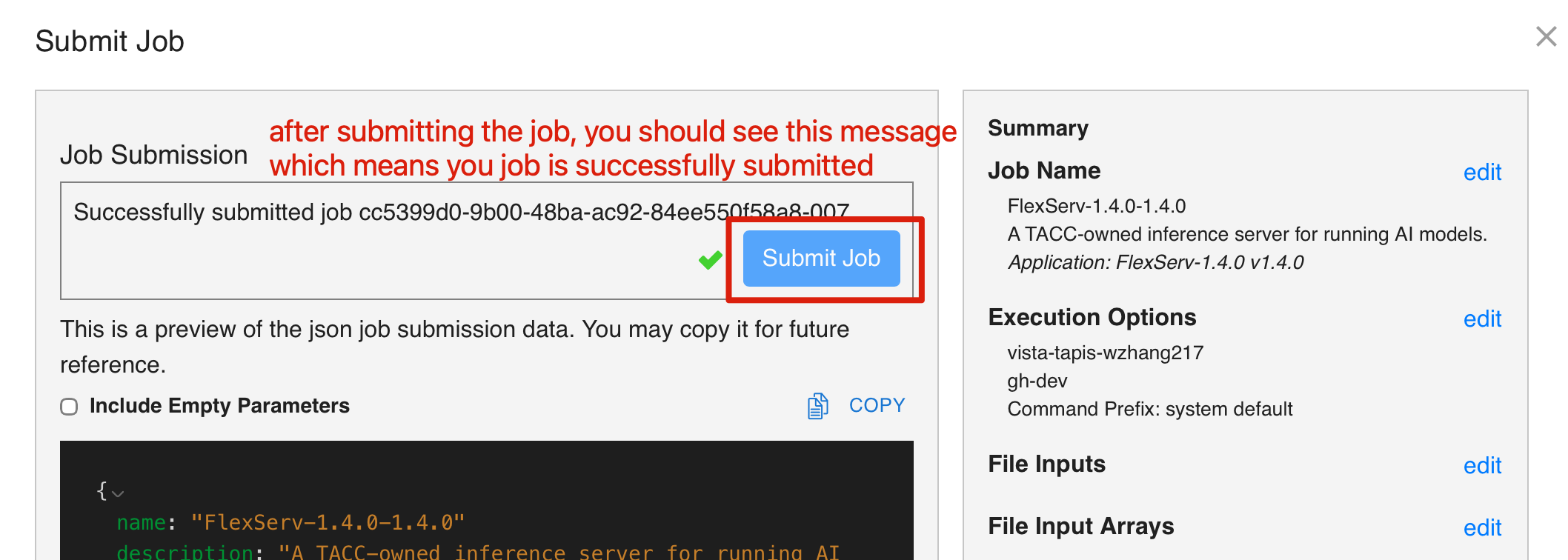 Step 3: Job Submission