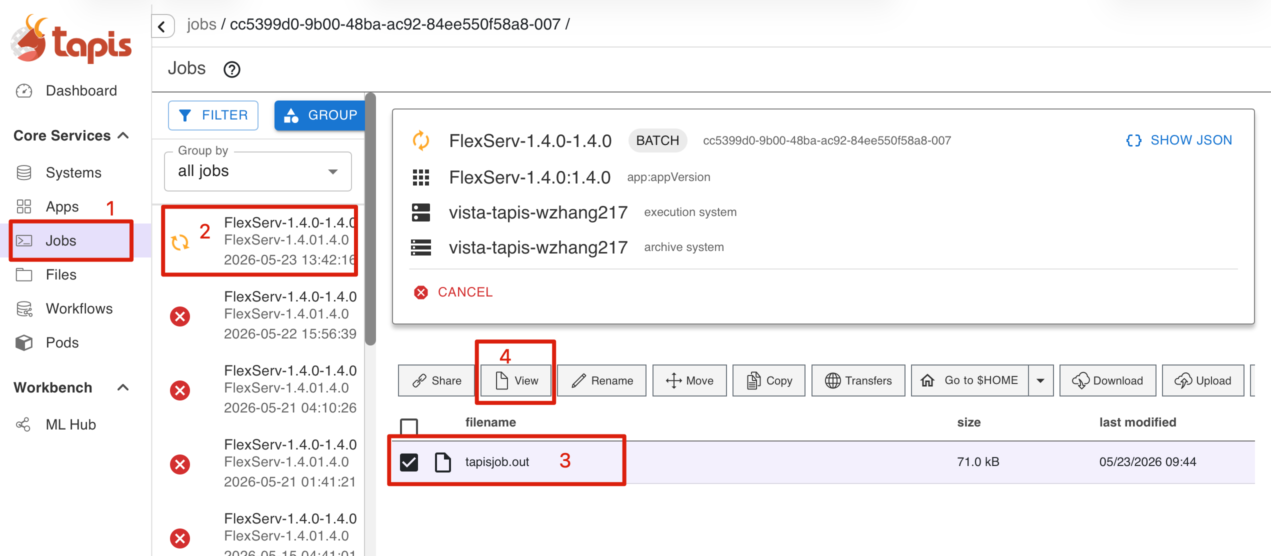 Step 4: View Job