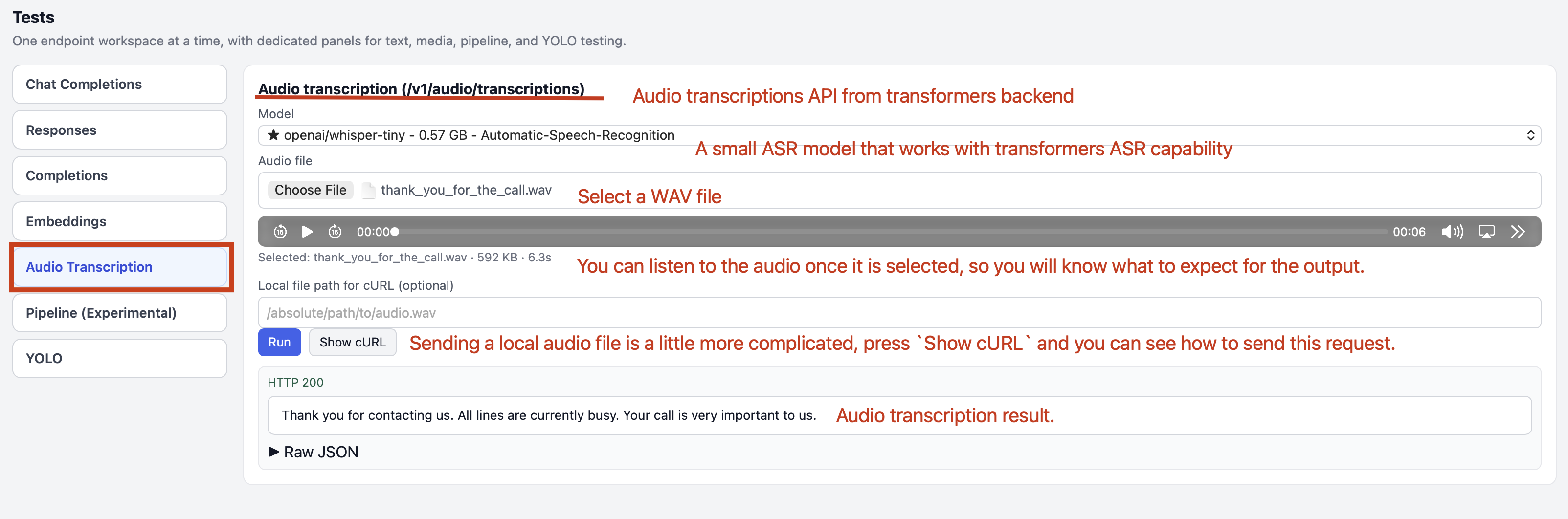 FlexServ API Tests - Audio Transcription